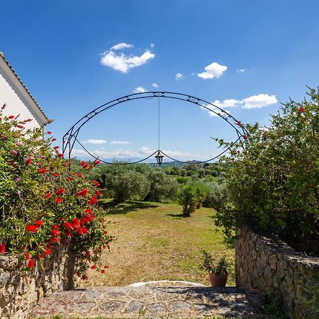Classical Villa Anta Agios Ioannis  ภายนอก รูปภาพ
