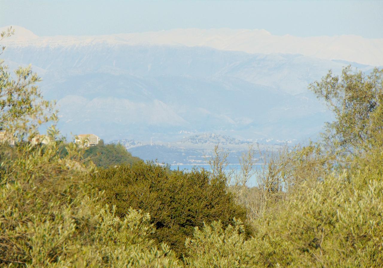 Classical Villa Anta Agios Ioannis  ห้อง รูปภาพ